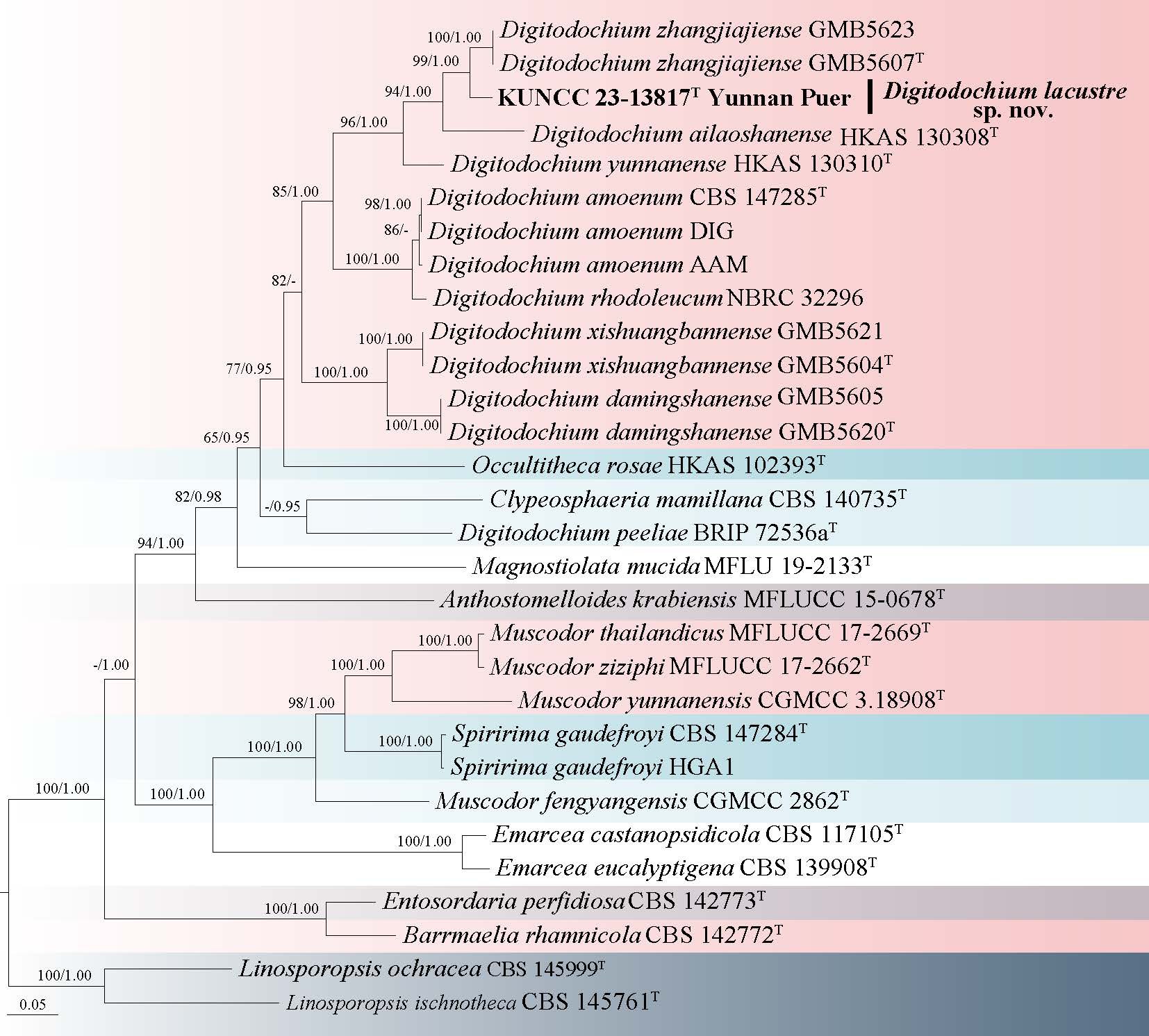 Figure 109